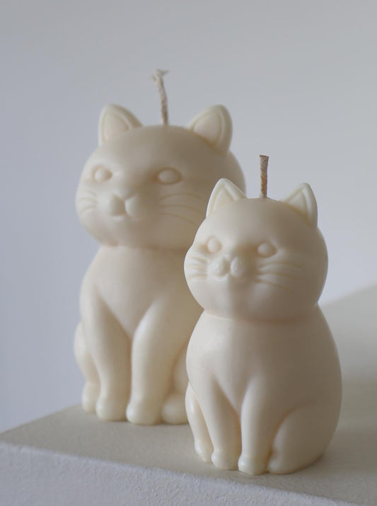 Kitty